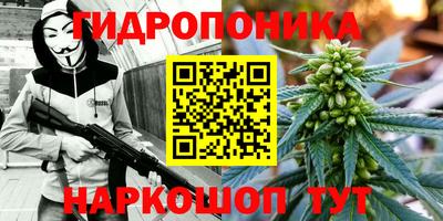 ешки Нальчик