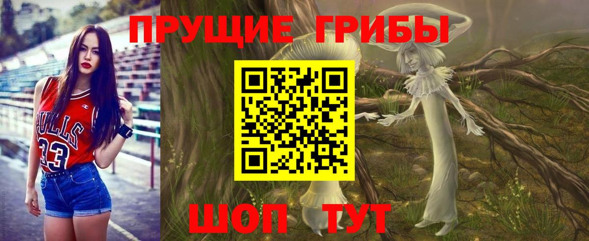 Псилоцибиновые грибы Psilocybine cubensis Светлоград