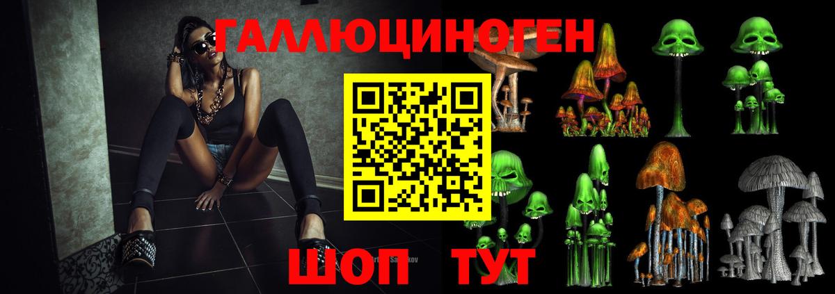Псилоцибиновые грибы MAGIC MUSHROOMS  Вход с VPN  Светлоград 