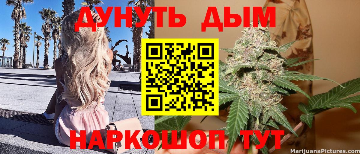 Бошки марихуана OG Kush Светлоград